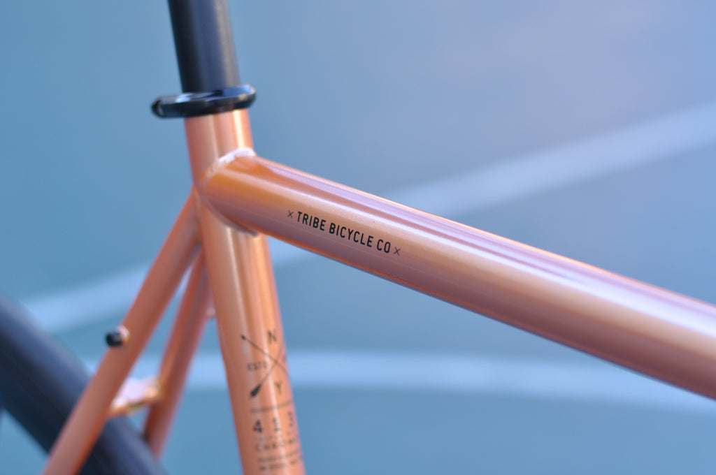 Tribe Bicycle Co CRMO Series Fixed Gear Single Speed Bike Monk