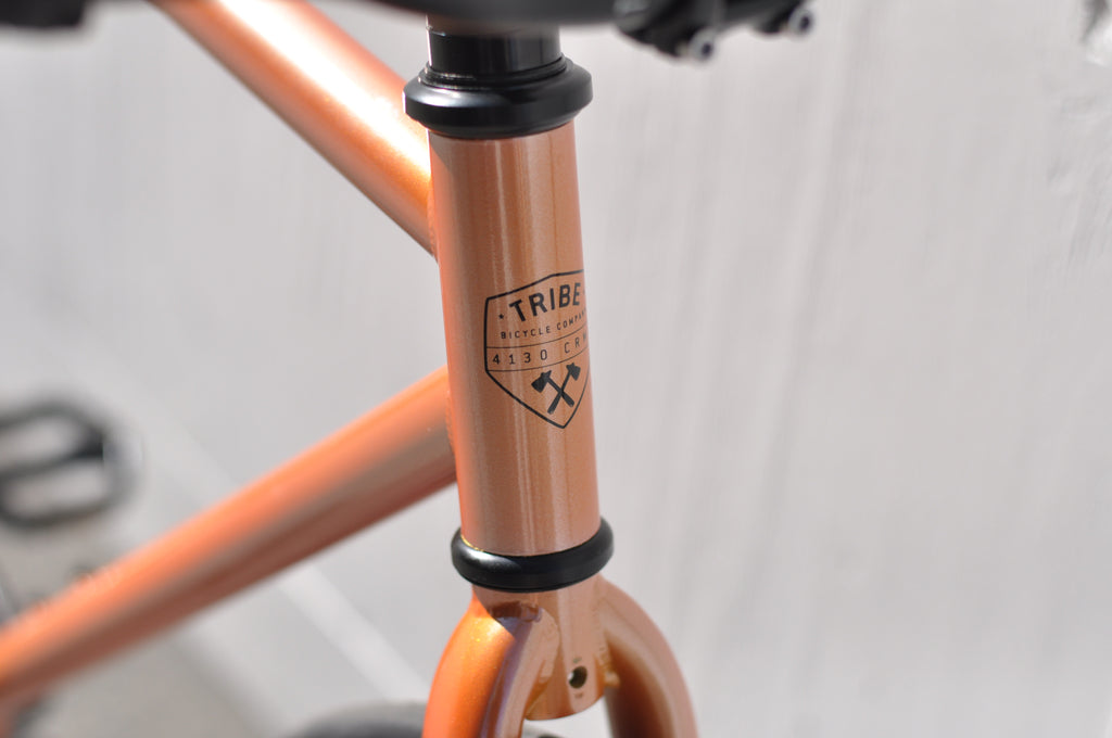 Tribe Bicycle Co CRMO Series Fixed Gear Single Speed Bike Monk